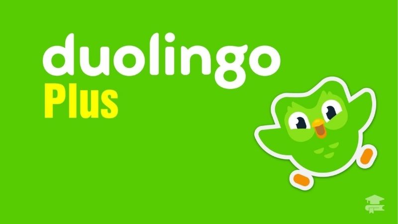 Hướng dẫn cách đăng ký Duolingo Plus: Tận dụng mọi tính năng nâng cao