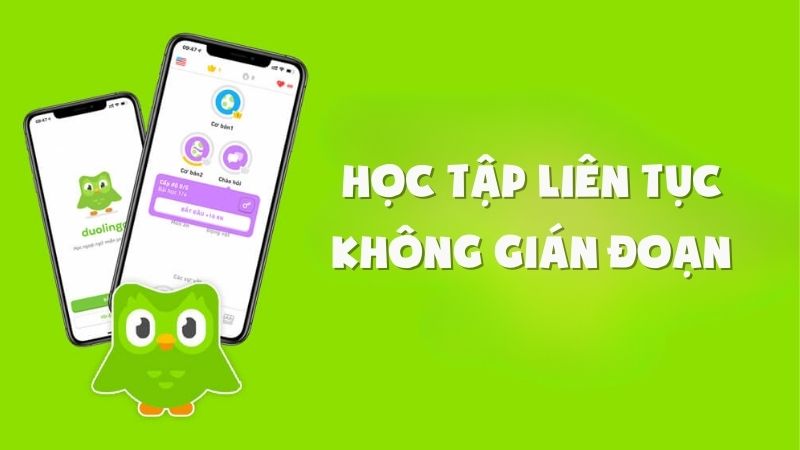 Hướng dẫn cách đăng ký Duolingo Plus: Tận dụng mọi tính năng nâng cao