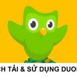 Cách Tải Duolingo: Hướng Dẫn Chi Tiết Cho Người Mới Cách Tải Duolingo: Hướng Dẫn Chi Tiết Cho Người Mới