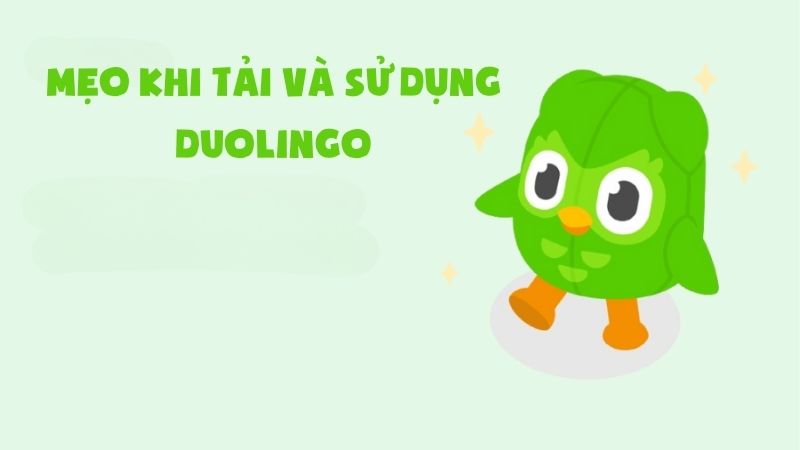 Cách Tải Duolingo: Hướng Dẫn Chi Tiết Cho Người Mới