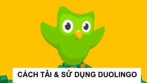 Cách Tải Duolingo: Hướng Dẫn Chi Tiết Cho Người Mới