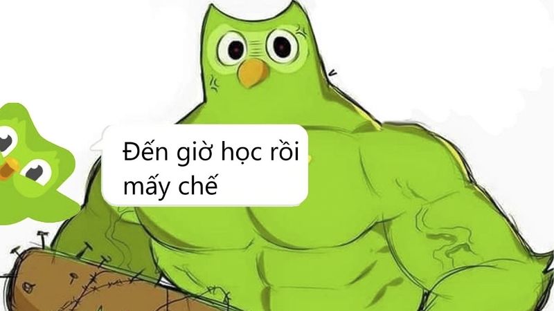 Học nhiều ngôn ngữ cùng lúc trên Duolingo – Bí quyết thành công