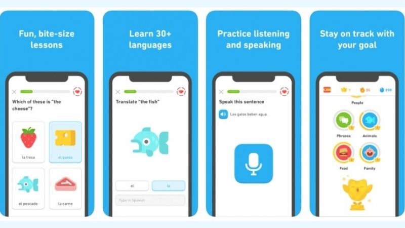 Khám phá các tính năng nổi bật của Duolingo