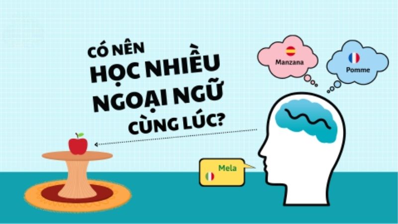 Học nhiều ngôn ngữ cùng lúc trên Duolingo – Bí quyết thành công